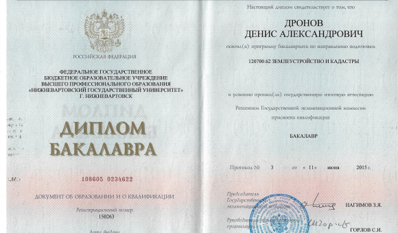 Диплом бакалавра Дронов Д.А.